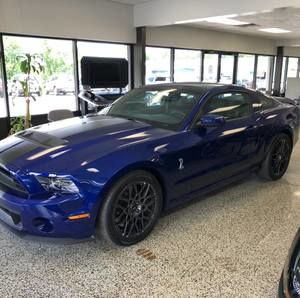 Meet your Posher, Bo